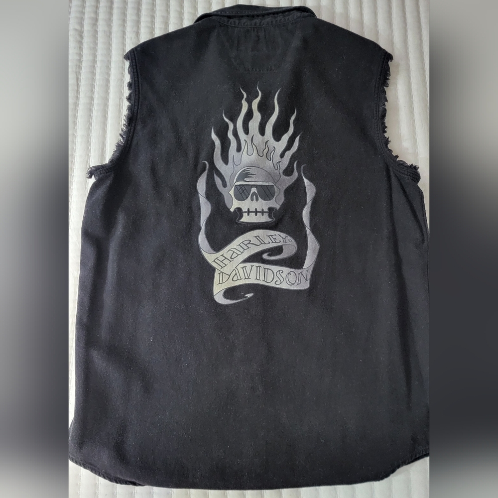 Harley Davidson Blazing Bones AC/DC Black Ice Tour 2008- 2010